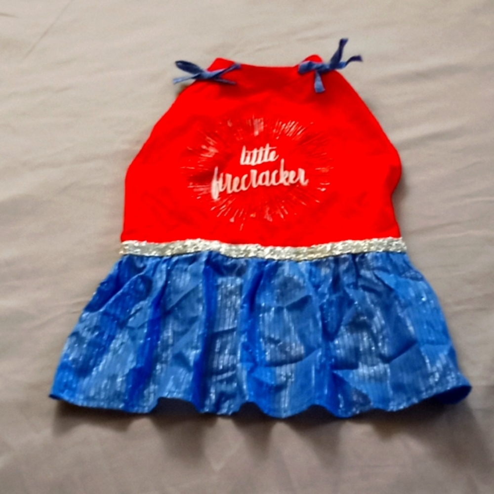 Holiday puppy's dress